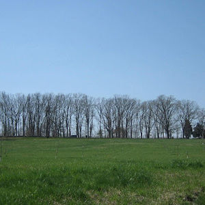 Meet your Posher, Joshua